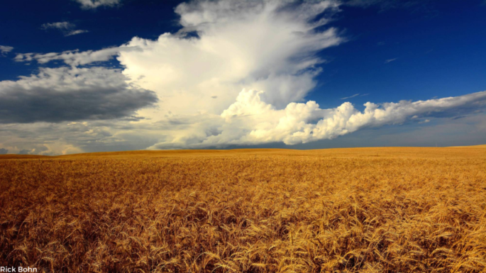 Prairie